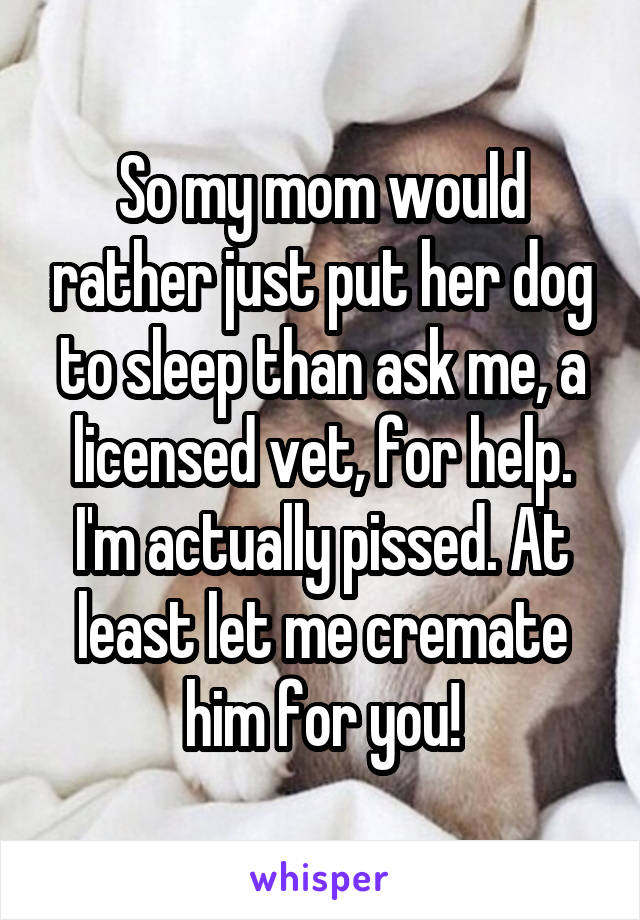 So my mom would rather just put her dog to sleep than ask me, a licensed vet, for help. I'm actually pissed. At least let me cremate him for you!