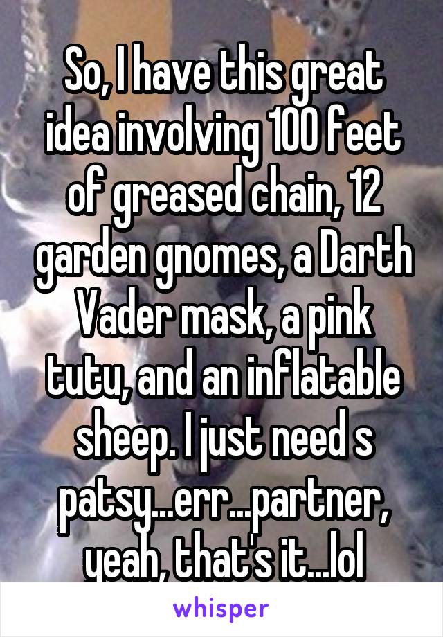 So, I have this great idea involving 100 feet of greased chain, 12 garden gnomes, a Darth Vader mask, a pink tutu, and an inflatable sheep. I just need s patsy...err...partner, yeah, that's it...lol