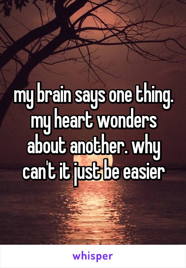 my brain says one thing. my heart wonders about another. why can't it just be easier