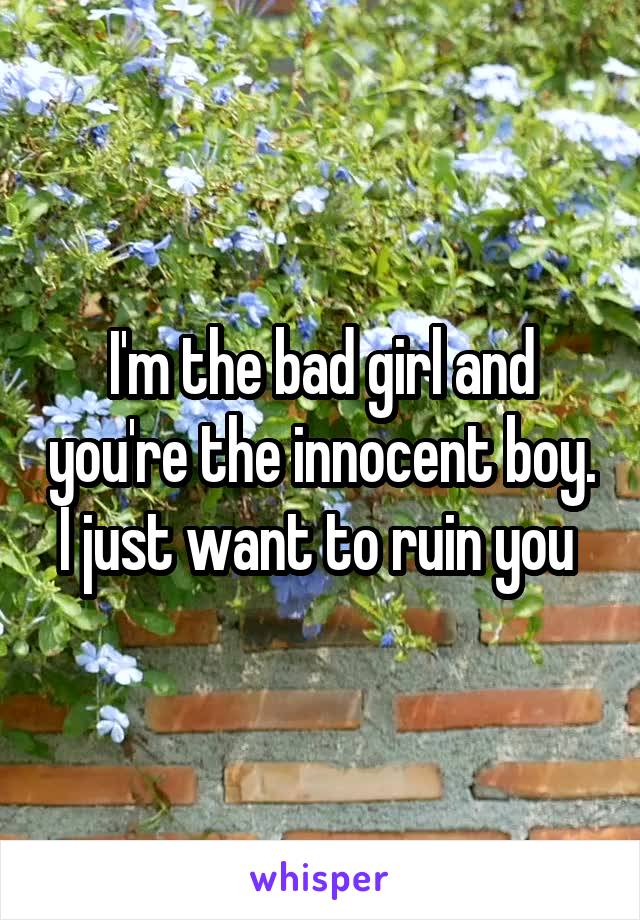 I'm the bad girl and you're the innocent boy. I just want to ruin you 