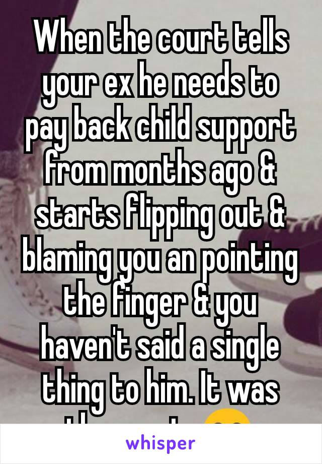 When the court tells your ex he needs to pay back child support from months ago & starts flipping out & blaming you an pointing the finger & you haven't said a single thing to him. It was the courts😂