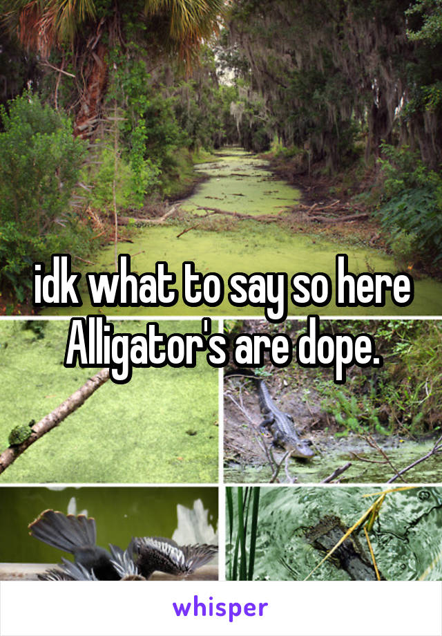 idk what to say so here
Alligator's are dope.