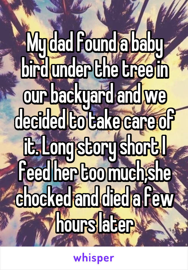 My dad found a baby bird under the tree in our backyard and we decided to take care of it. Long story short I feed her too much,she chocked and died a few hours later