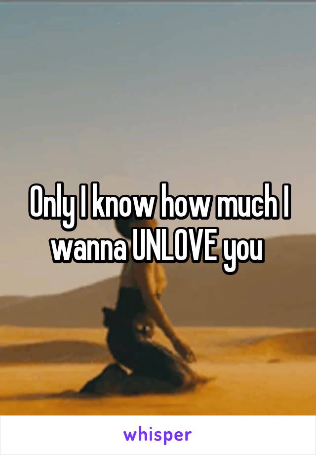 Only I know how much I wanna UNLOVE you 