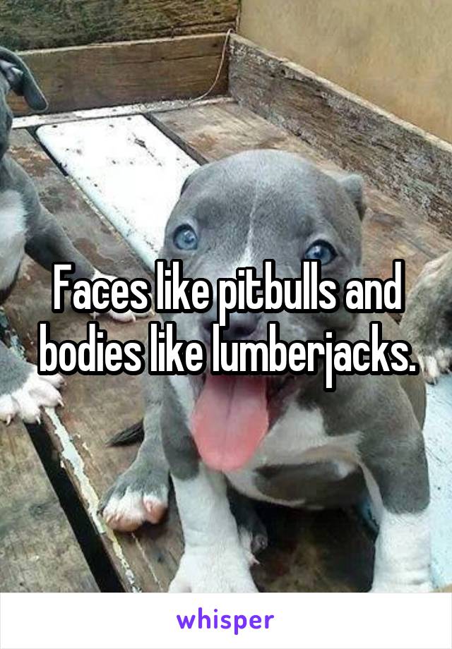 Faces like pitbulls and bodies like lumberjacks.