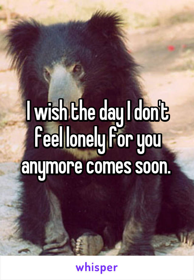 I wish the day I don't feel lonely for you anymore comes soon. 