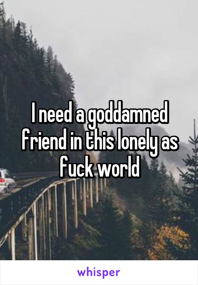 I need a goddamned friend in this lonely as fuck world