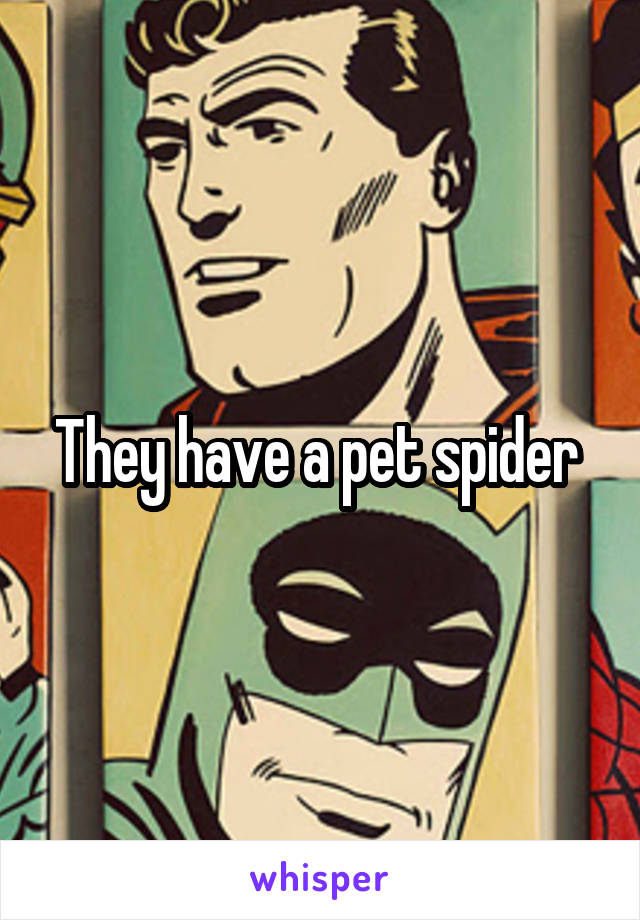 They have a pet spider 