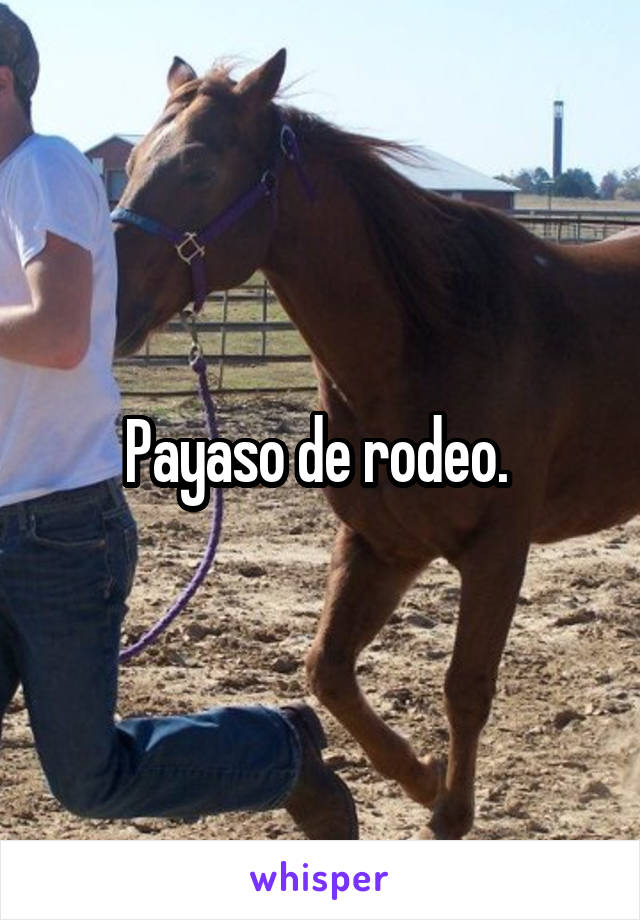 Payaso de rodeo. 