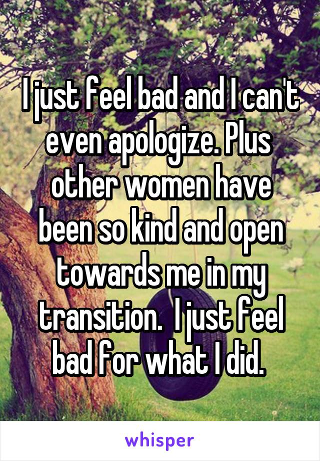 I just feel bad and I can't even apologize. Plus  other women have been so kind and open towards me in my transition.  I just feel bad for what I did. 