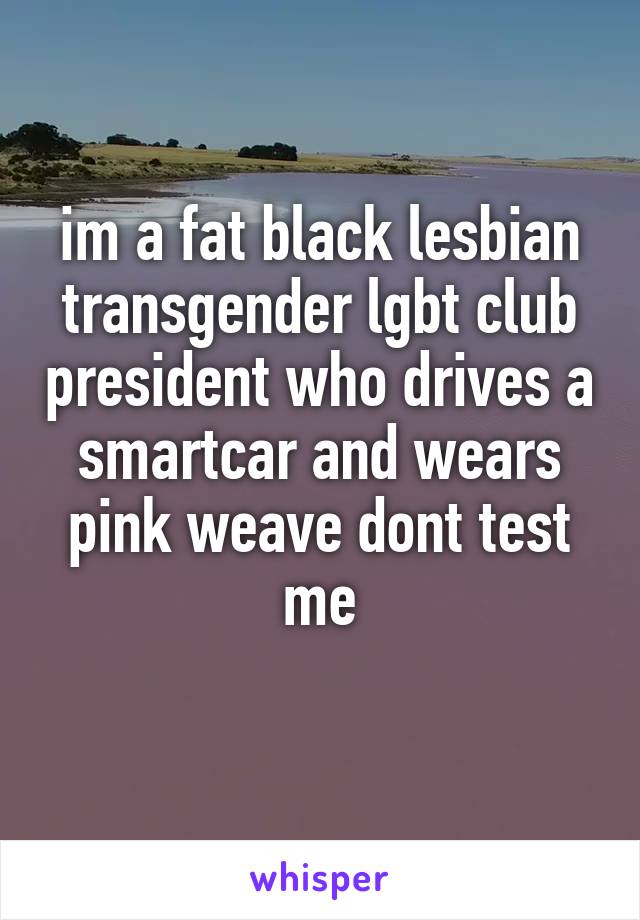 im a fat black lesbian transgender lgbt club president who drives a smartcar and wears pink weave dont test me
