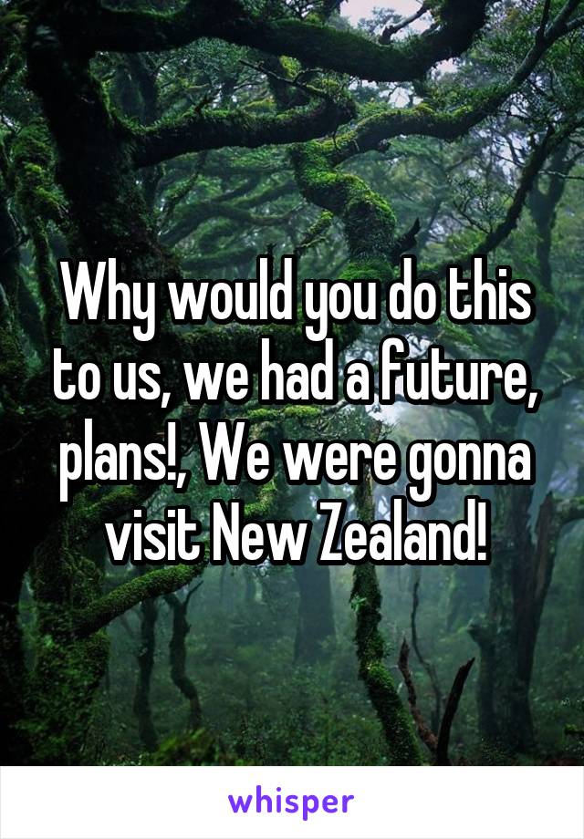 Why would you do this to us, we had a future, plans!, We were gonna visit New Zealand!