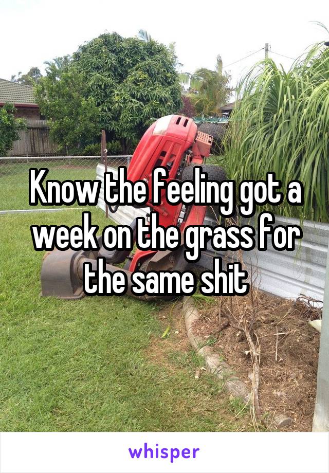 Know the feeling got a week on the grass for the same shit