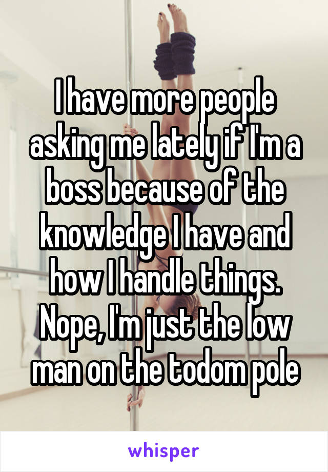 I have more people asking me lately if I'm a boss because of the knowledge I have and how I handle things. Nope, I'm just the low man on the todom pole