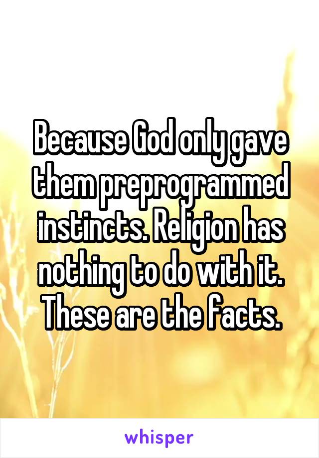 Because God only gave them preprogrammed instincts. Religion has nothing to do with it. These are the facts.