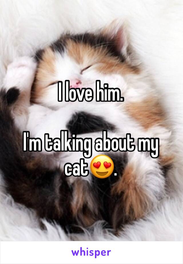 I love him.

I'm talking about my cat😍.