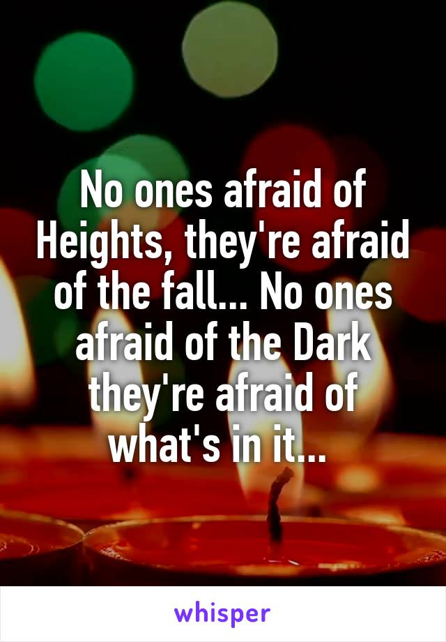 No ones afraid of Heights, they're afraid of the fall... No ones afraid of the Dark they're afraid of what's in it... 