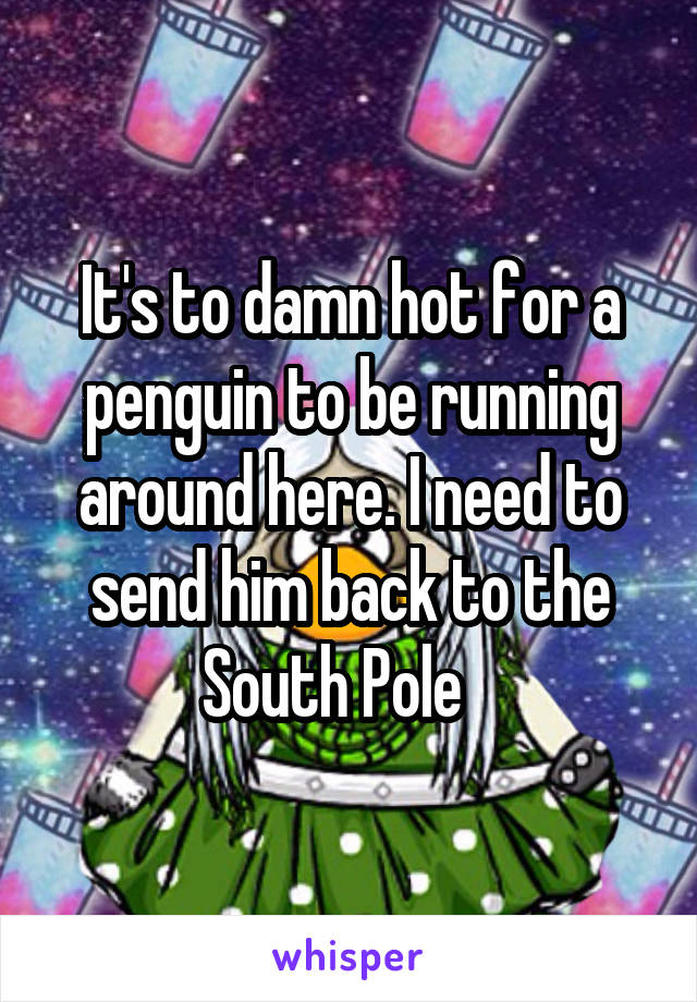 It's to damn hot for a penguin to be running around here. I need to send him back to the South Pole   