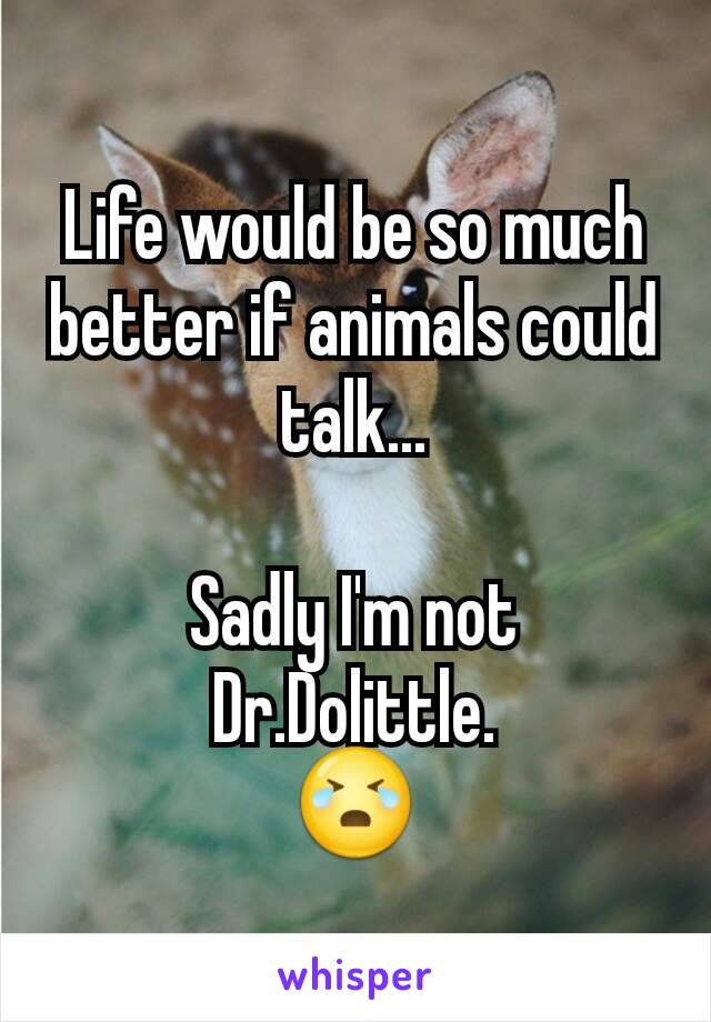 Life would be so much better if animals could talk...

Sadly I'm not Dr.Dolittle.
😭