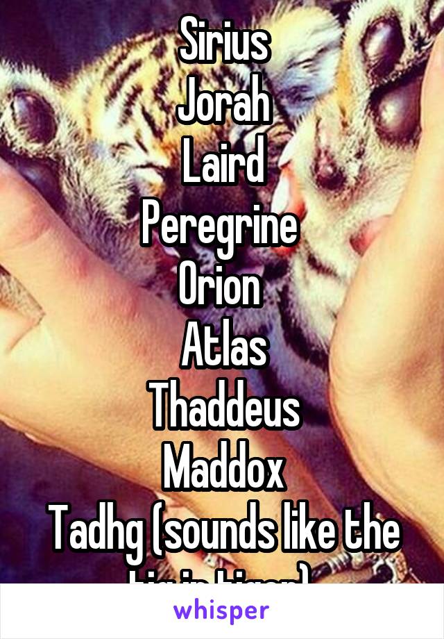 Sirius
Jorah
Laird
Peregrine 
Orion 
Atlas
Thaddeus
Maddox
Tadhg (sounds like the tig in tiger) 