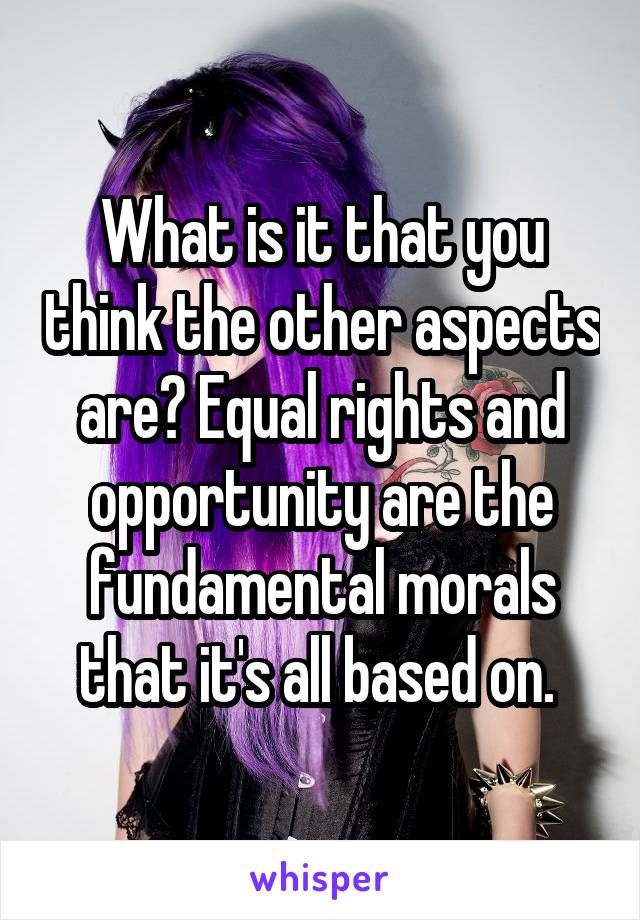 What is it that you think the other aspects are? Equal rights and opportunity are the fundamental morals that it's all based on. 