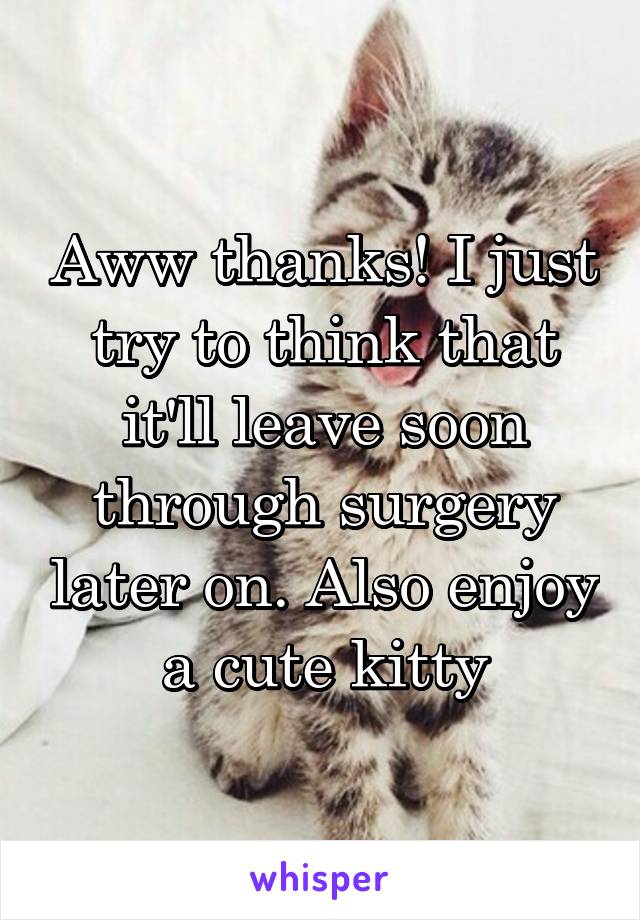 Aww thanks! I just try to think that it'll leave soon through surgery later on. Also enjoy a cute kitty