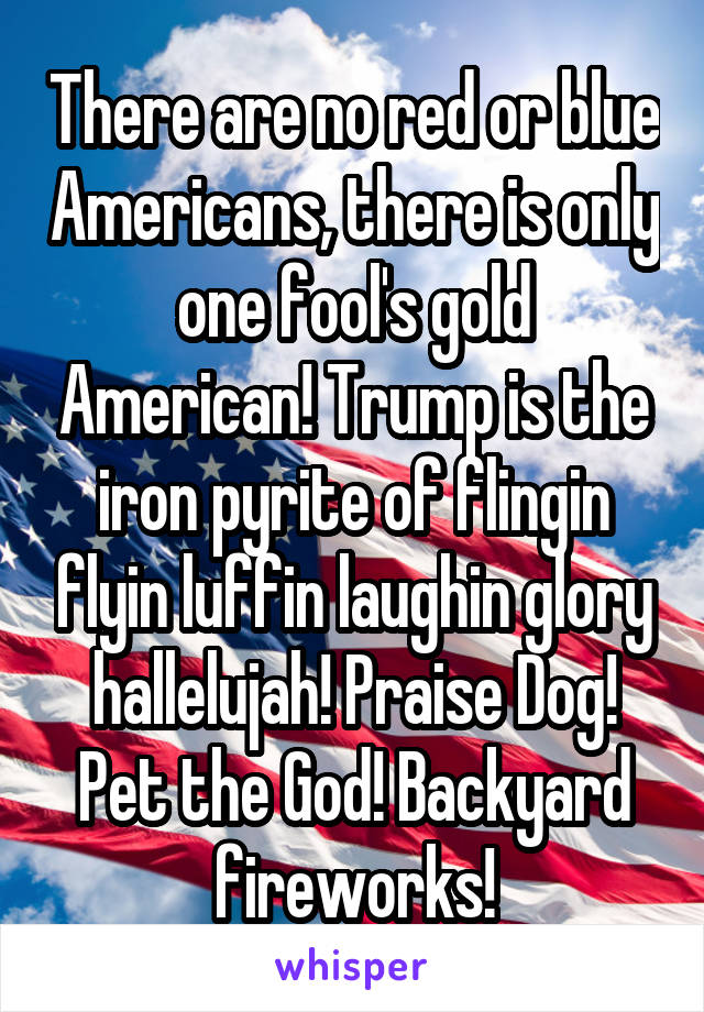 There are no red or blue Americans, there is only one fool's gold American! Trump is the iron pyrite of flingin flyin luffin laughin glory hallelujah! Praise Dog! Pet the God! Backyard fireworks!