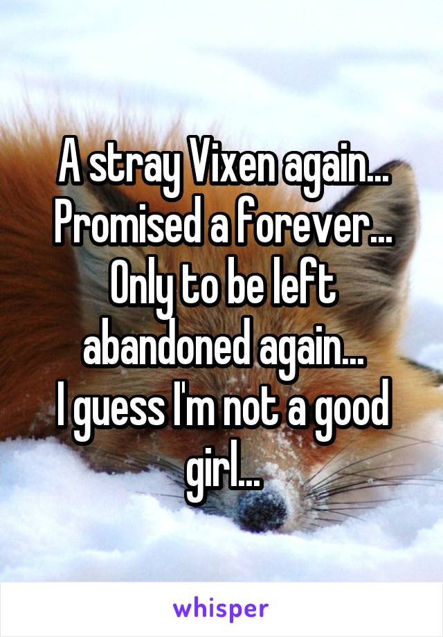 A stray Vixen again... Promised a forever... Only to be left abandoned again...
I guess I'm not a good girl...