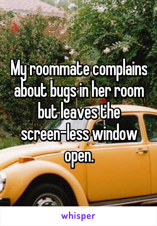 My roommate complains about bugs in her room but leaves the screen-less window open.