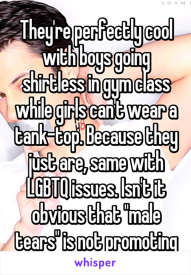 They're perfectly cool with boys going shirtless in gym class while girls can't wear a tank-top. Because they just are, same with LGBTQ issues. Isn't it obvious that "male tears" is not promoting