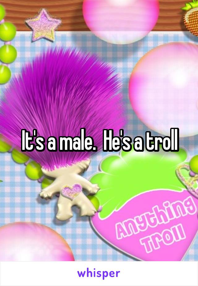 It's a male.  He's a troll