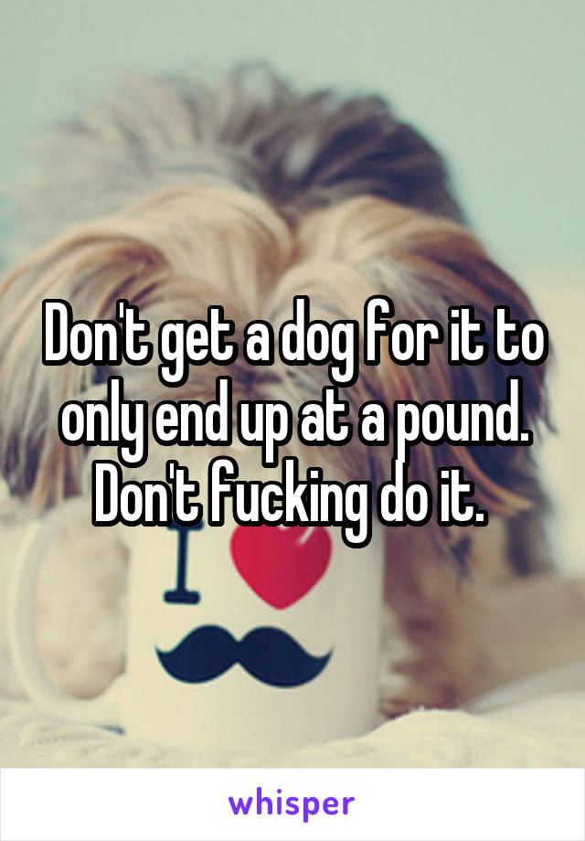 Don't get a dog for it to only end up at a pound. Don't fucking do it. 