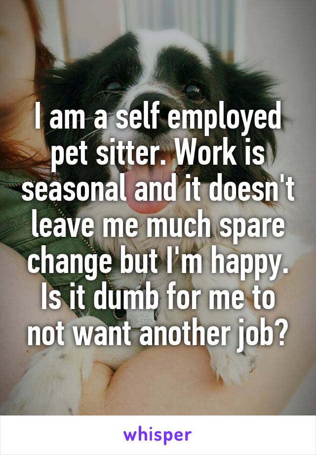 I am a self employed pet sitter. Work is seasonal and it doesn't leave me much spare change but I'm happy. Is it dumb for me to not want another job?