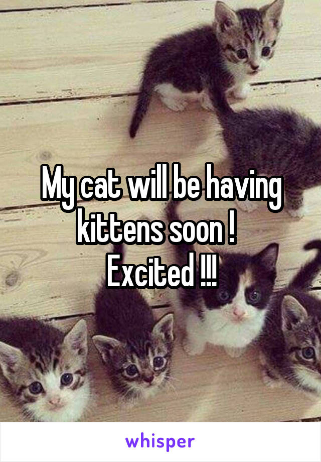 My cat will be having kittens soon !  
Excited !!!