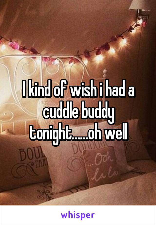 I kind of wish i had a cuddle buddy tonight......oh well