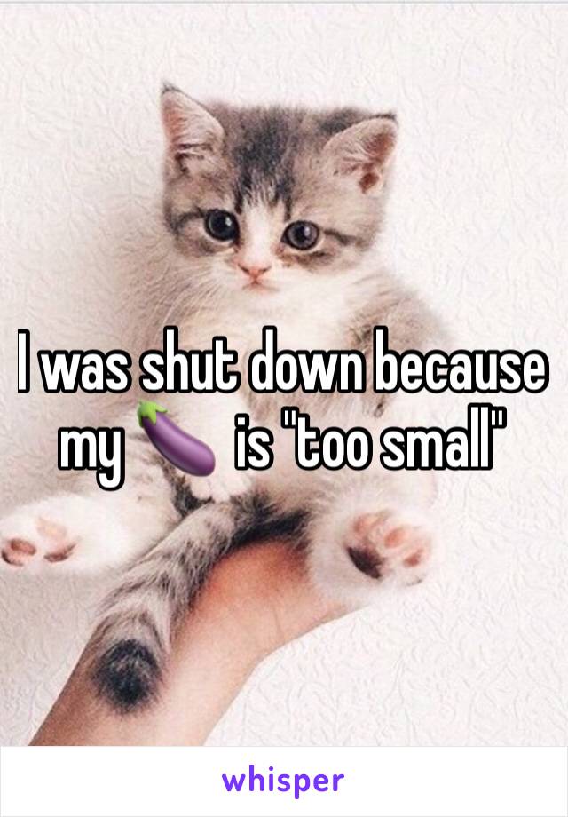 I was shut down because my 🍆  is "too small"