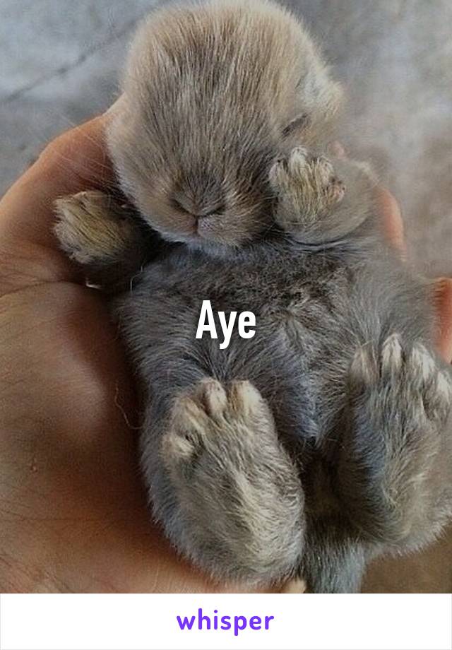 Aye