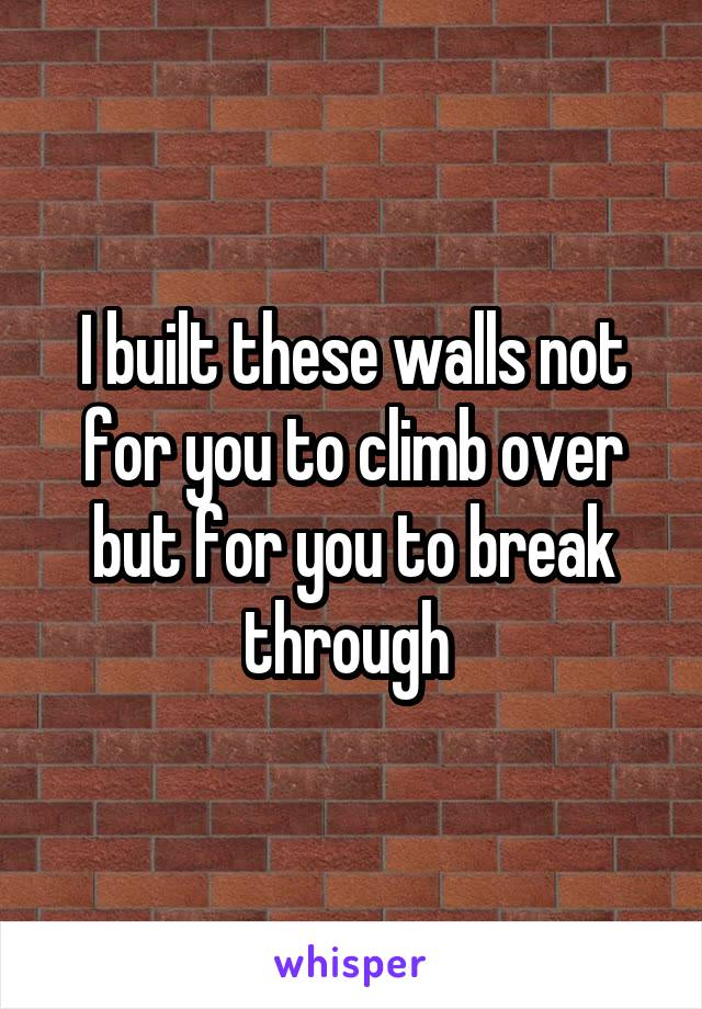 I built these walls not for you to climb over but for you to break through 