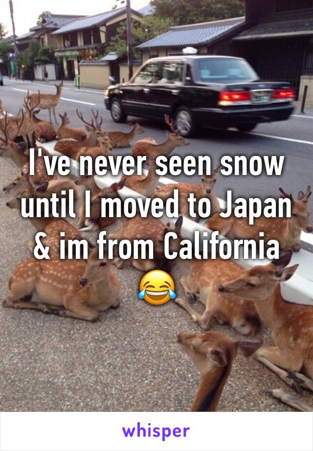 I've never seen snow until I moved to Japan & im from California 😂