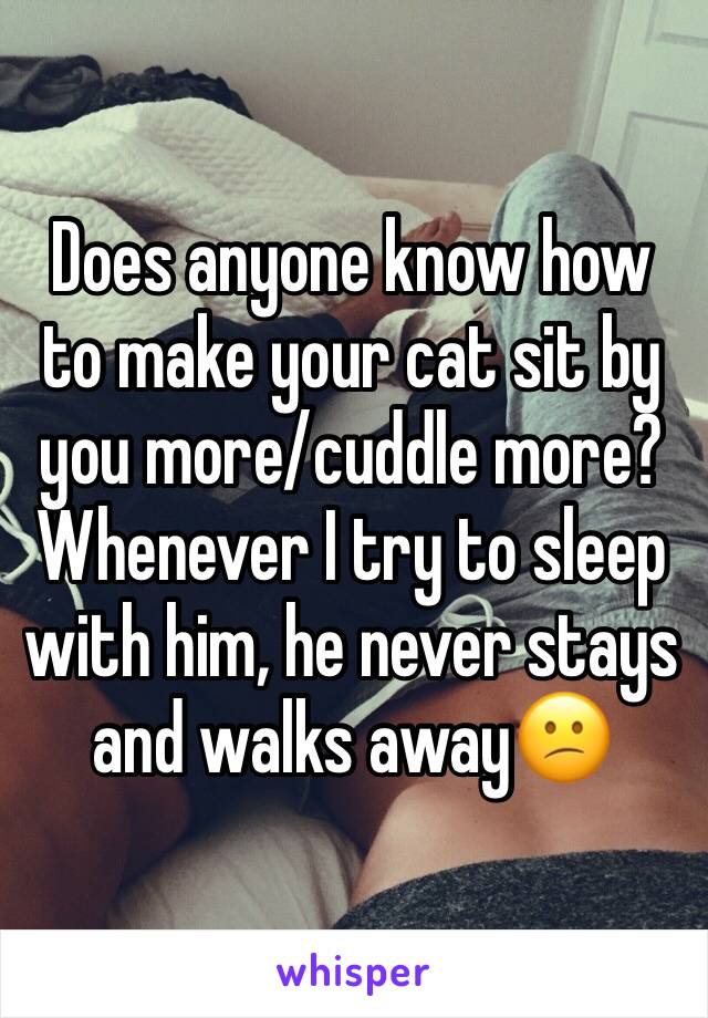 Does anyone know how to make your cat sit by you more/cuddle more?Whenever I try to sleep with him, he never stays and walks away😕