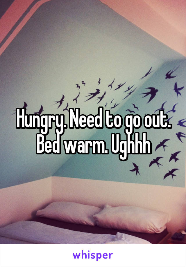 Hungry. Need to go out. Bed warm. Ughhh