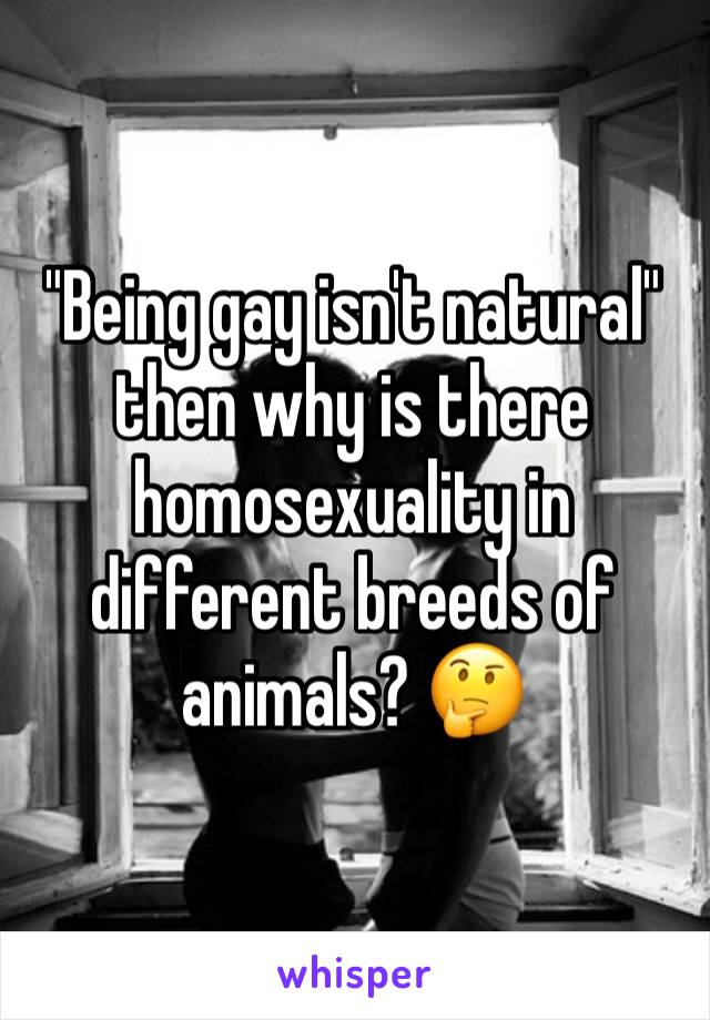 "Being gay isn't natural" then why is there homosexuality in different breeds of animals? 🤔