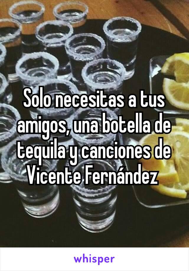 Solo necesitas a tus amigos, una botella de tequila y canciones de Vicente Fernández 