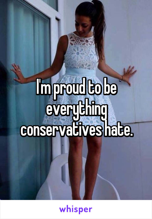 I'm proud to be everything conservatives hate.