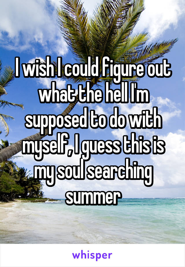 I wish I could figure out what the hell I'm supposed to do with myself, I guess this is my soul searching summer