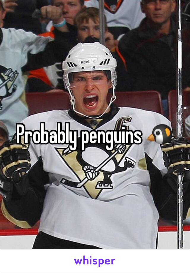 Probably penguins 🐧 