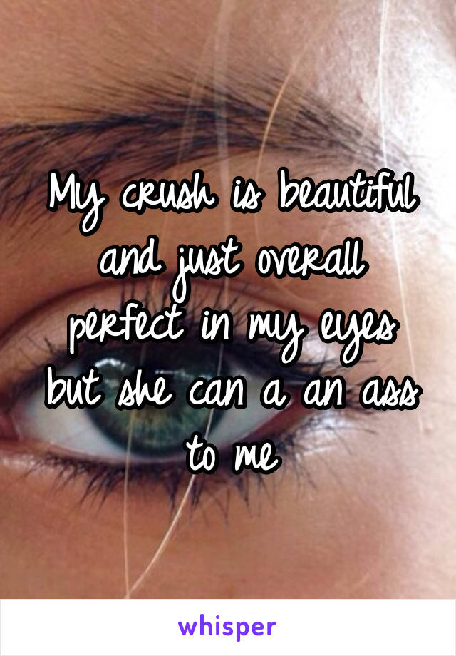 My crush is beautiful and just overall perfect in my eyes but she can a an ass to me