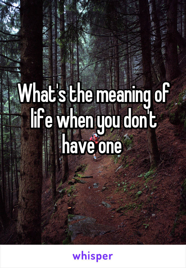 What's the meaning of life when you don't have one 
