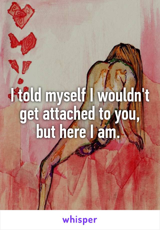 I told myself I wouldn't get attached to you, but here I am. 