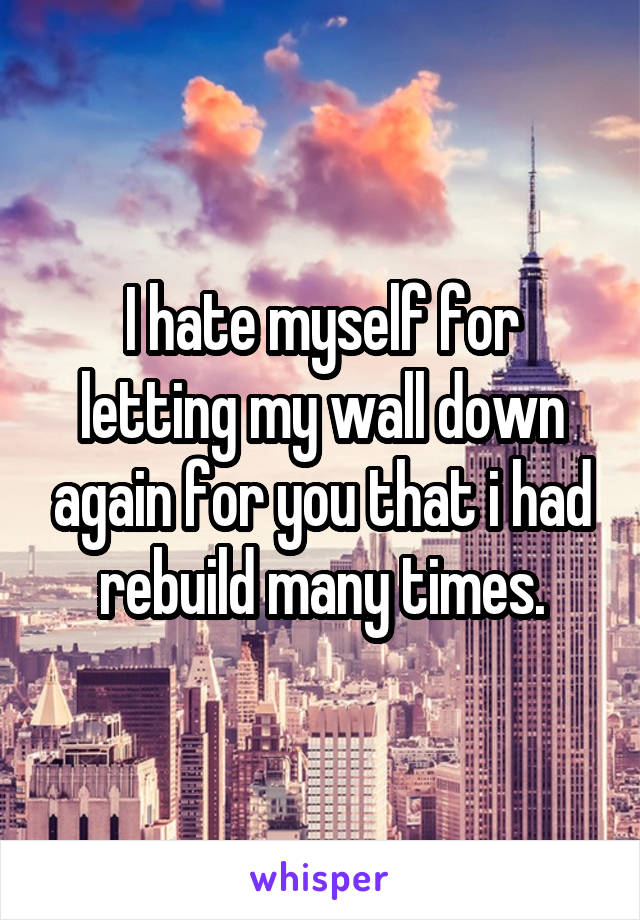 I hate myself for letting my wall down again for you that i had rebuild many times.